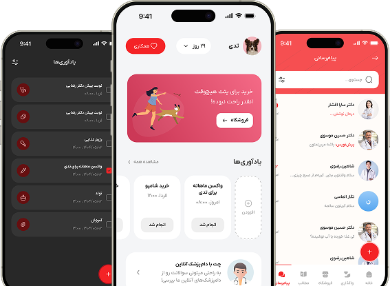 پیشنمایش اپلیکیشن نستک